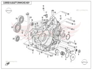 CFMOTO 250 Dual Krank Kutusu Sol · Y4CFM4070A0172 · Teknik şema · Parça no 1